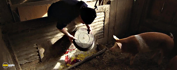 A still #7 from Peter and the Farm (2016)