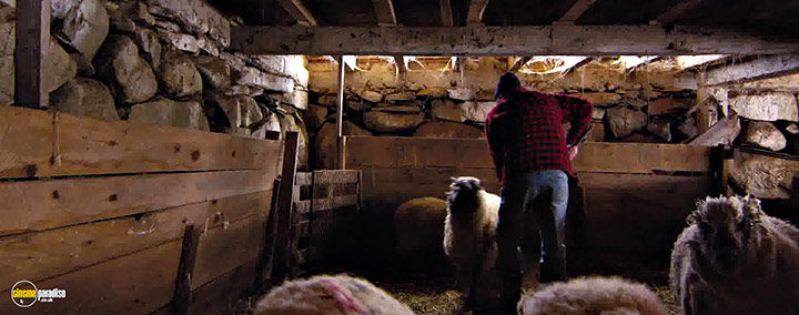 A still #17 from Peter and the Farm (2016)