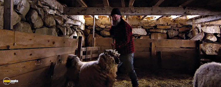 A still #10 from Peter and the Farm (2016)