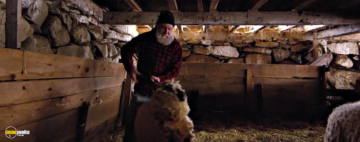 A still #6 from Peter and the Farm (2016)