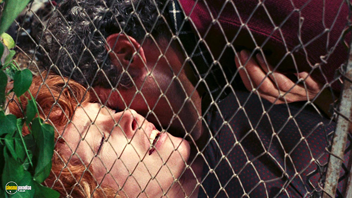 A still #21 from Your Vice Is a Locked Room and Only I Have the Key (1972) With Anita Strindberg
