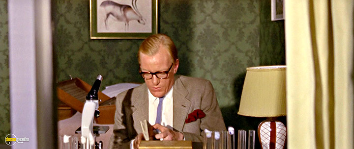 A still #19 from Dr. Terror's House of Horrors (1965)