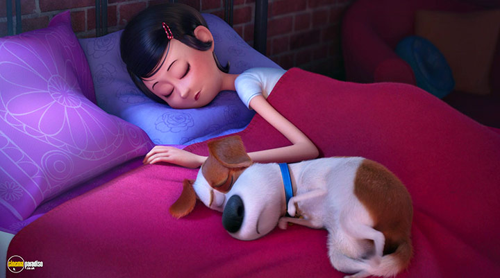 A still #48 from The Secret Life of Pets (2016)