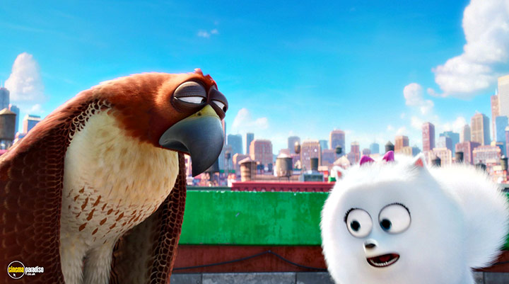 A still #47 from The Secret Life of Pets (2016)