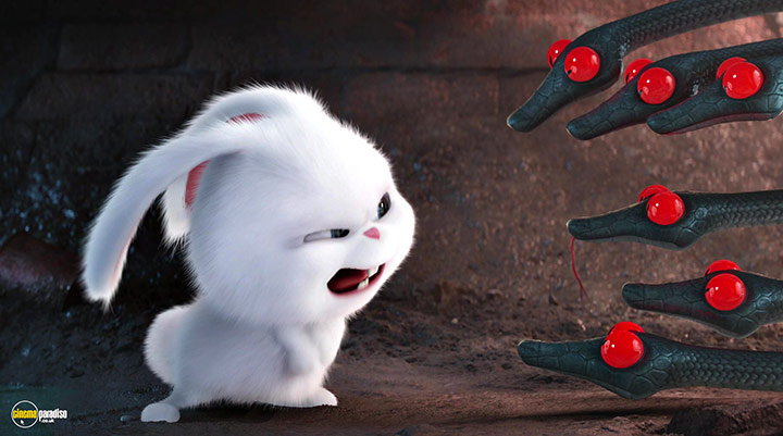 A still #45 from The Secret Life of Pets (2016)