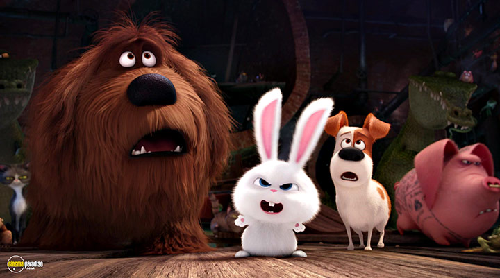 A still #44 from The Secret Life of Pets (2016)