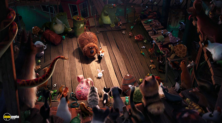 A still #43 from The Secret Life of Pets (2016)