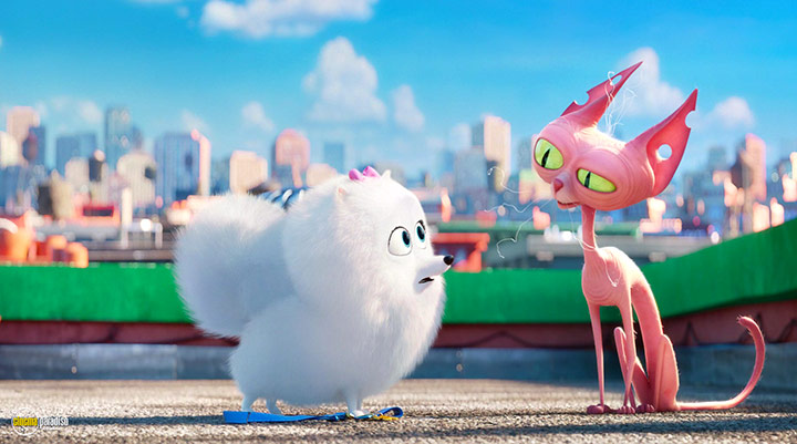 A still #42 from The Secret Life of Pets (2016)