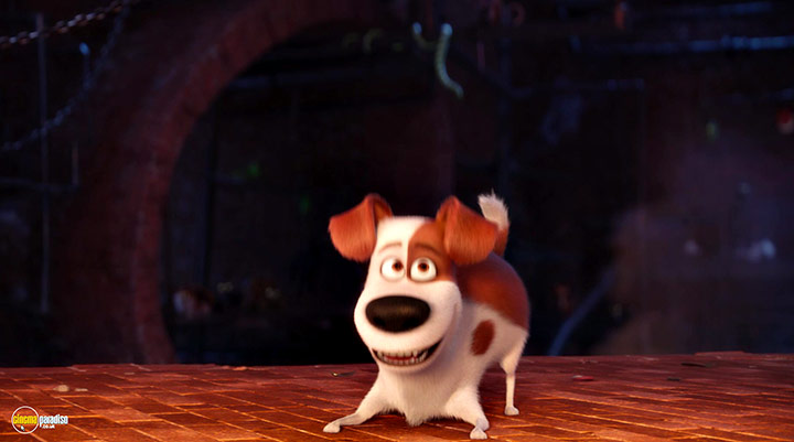 A still #41 from The Secret Life of Pets (2016)