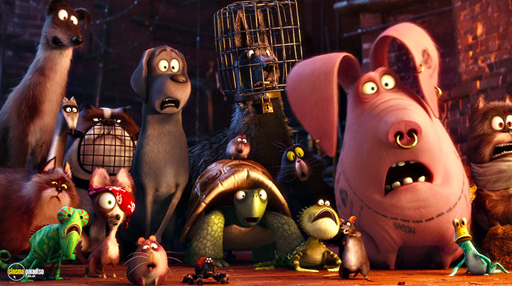 A still #40 from The Secret Life of Pets (2016)
