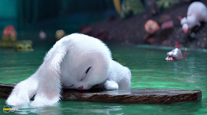 A still #39 from The Secret Life of Pets (2016)