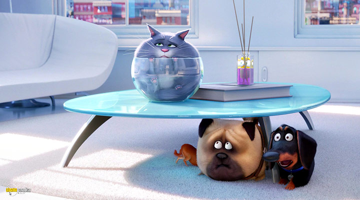 A still #38 from The Secret Life of Pets (2016)