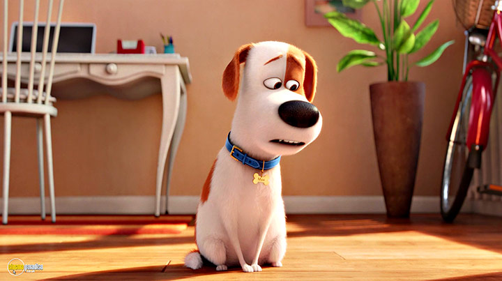 A still #36 from The Secret Life of Pets (2016)
