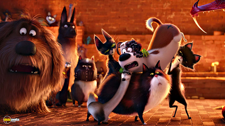 A still #34 from The Secret Life of Pets (2016)