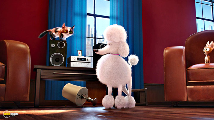 A still #32 from The Secret Life of Pets (2016)