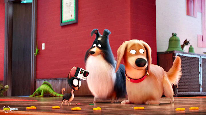 A still #31 from The Secret Life of Pets (2016)