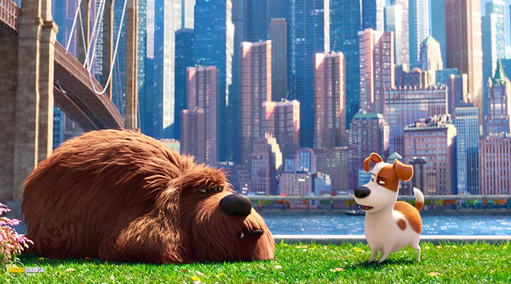 A still #30 from The Secret Life of Pets (2016)