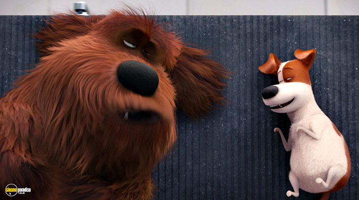 A still #27 from The Secret Life of Pets (2016)