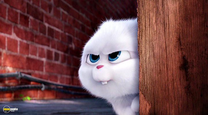 A still #26 from The Secret Life of Pets (2016)