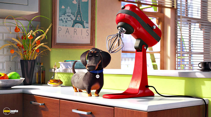 A still #24 from The Secret Life of Pets (2016)