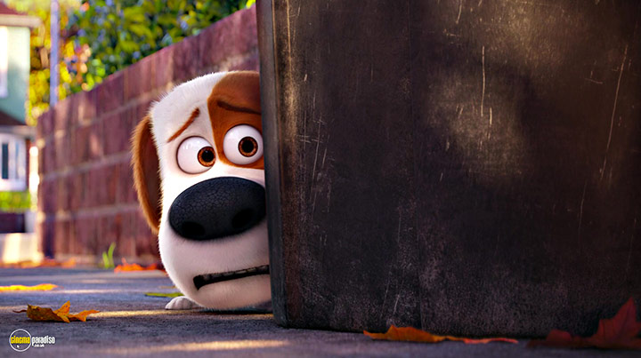 A still #23 from The Secret Life of Pets (2016)