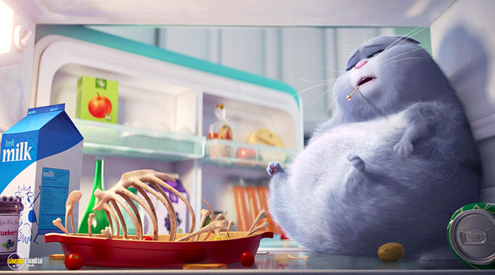 A still #22 from The Secret Life of Pets (2016)
