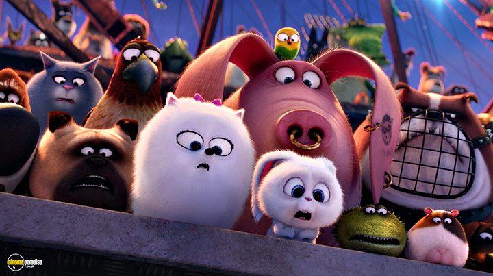 A still #21 from The Secret Life of Pets (2016)