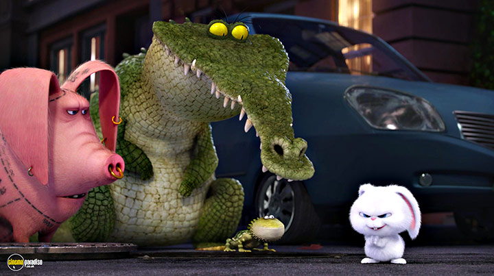 A still #20 from The Secret Life of Pets (2016)