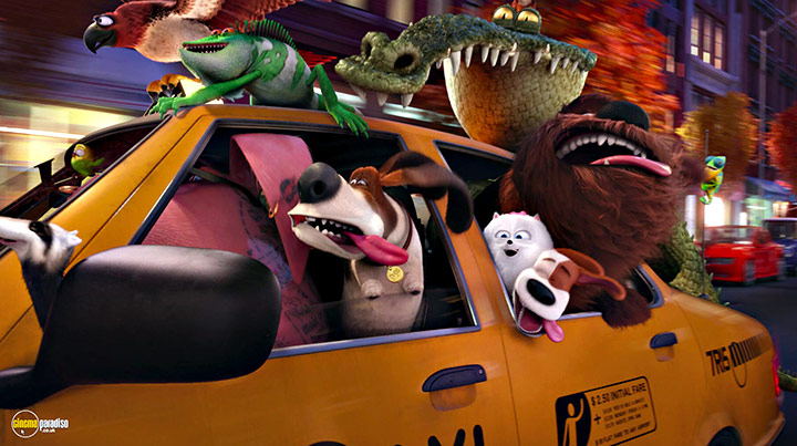 A still #1 from The Secret Life of Pets (2016)