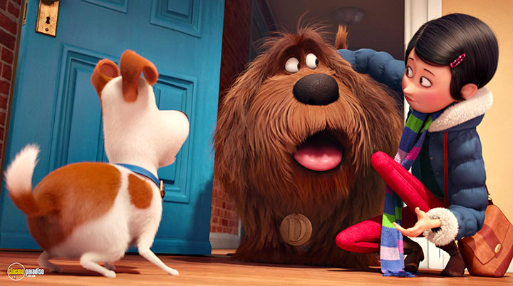A still #14 from The Secret Life of Pets (2016)