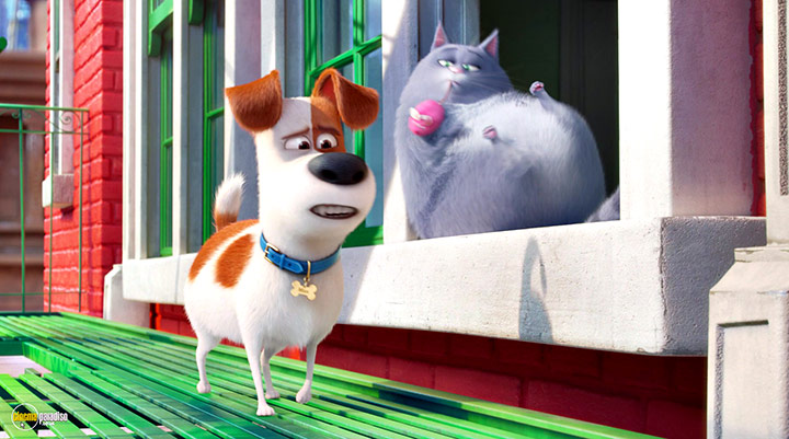 A still #11 from The Secret Life of Pets (2016)