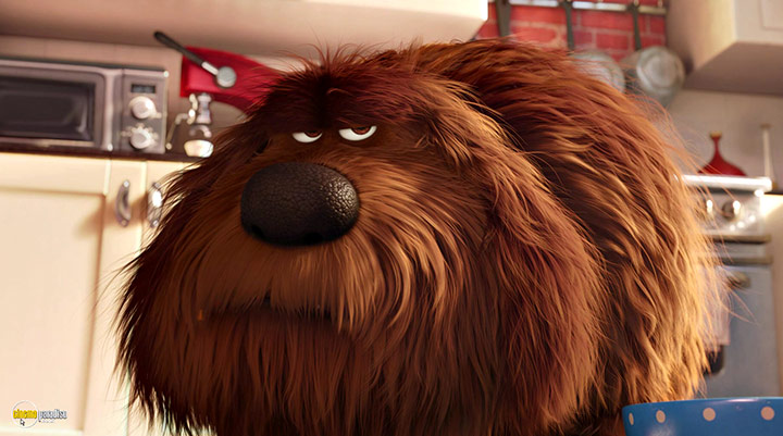 A still #9 from The Secret Life of Pets (2016)
