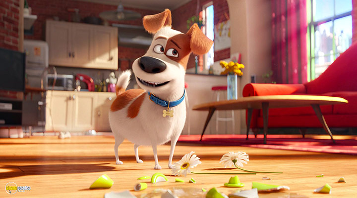 A still #8 from The Secret Life of Pets (2016)
