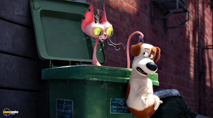 A still #7 from The Secret Life of Pets (2016)