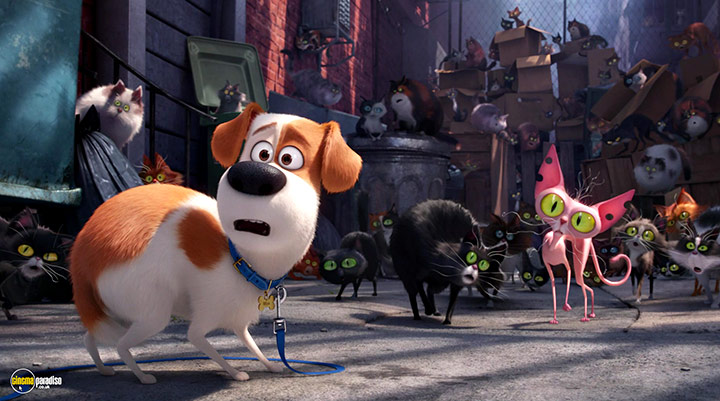 A still #4 from The Secret Life of Pets (2016)
