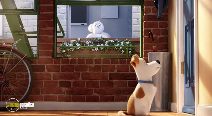 A still #2 from The Secret Life of Pets (2016)