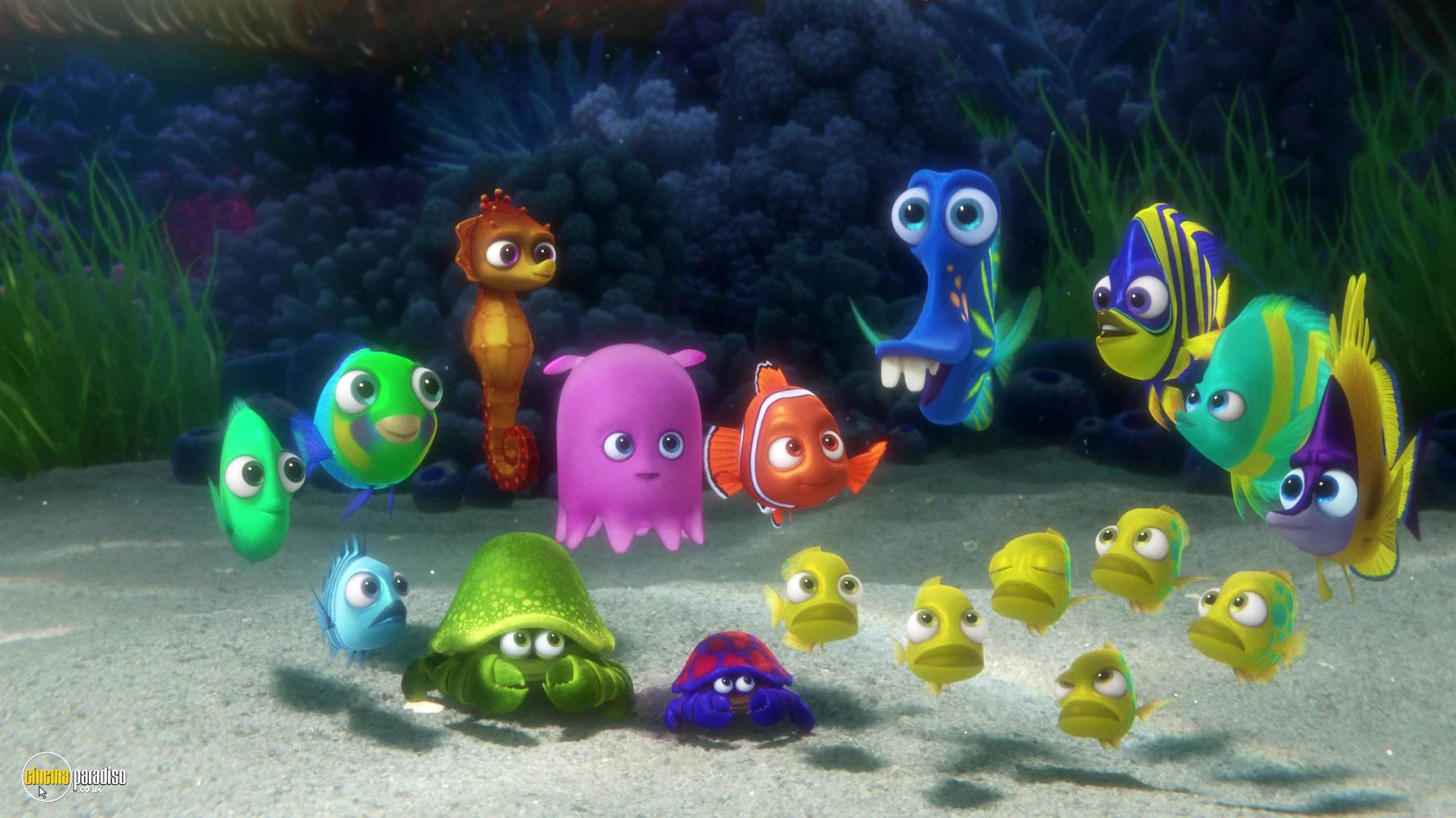 A still from Finding Dory (2016) 